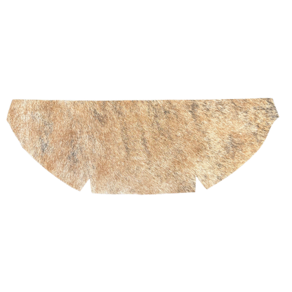 The Jessie x Saturday | Sunday Edition