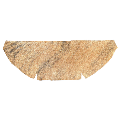 The Jessie x Saturday | Sunday Edition